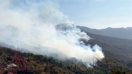 Las secuoyas gigantes de California amenazadas por el fuego