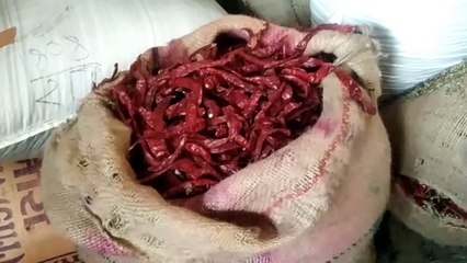 सबसे ज्यादा शहरी क्षेत्र में बिकती है मिर्च