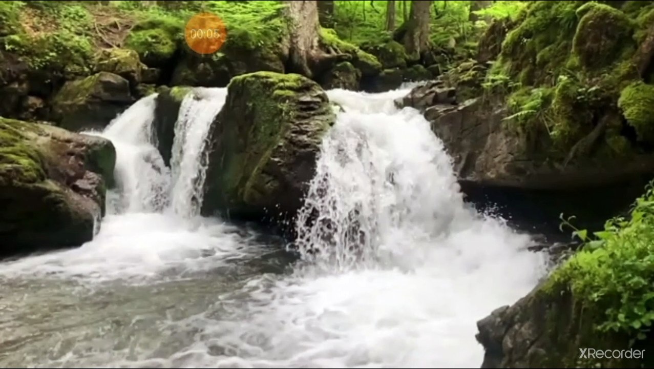 نقي قلبك الله يقسم في آية من الكتاب الشفق ومعجزة الله في الخلق