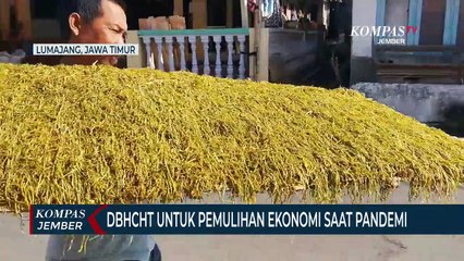 Pemkab Lumajang Akan Salurkan BLT dari Dana Bagi Hasil Cukai Tembakau