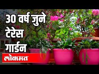 असं अदभूत टेरेस गार्डन तुम्ही पाहिलंच नसेल | 30 Year old Terrace Garden | Hello Mumbai