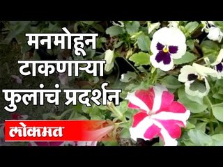 मनमोहून टाकणाऱ्या फुलांचं प्रदर्शन | Pune Flowers Exhibition | PMC