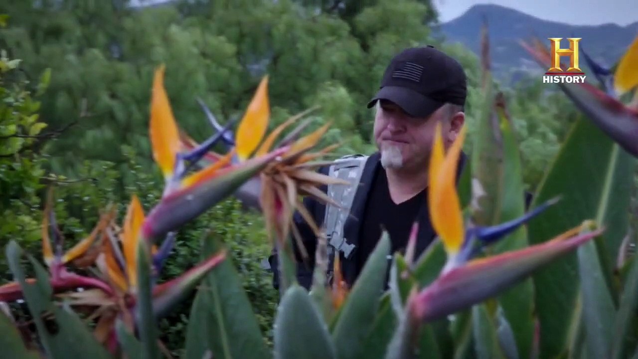 Unidentified - Die wahren X-Akten - Die Offenbarung