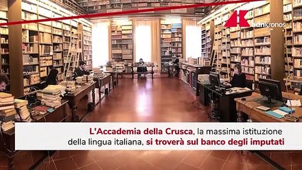 "Terrone non è insulto": Accademia Crusca finisce in tribunale