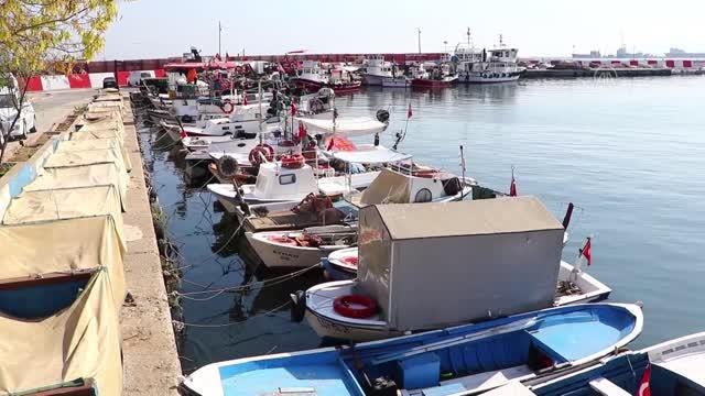 Denizlerdeki balık bolluğu Tekirdağ'da tezgahlarda çeşitliliği arttırdı
