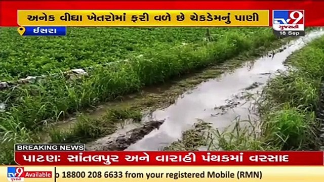 Frustrated with authority's inaction, farmers repair check dam breach on their own in Upleta, Rajkot