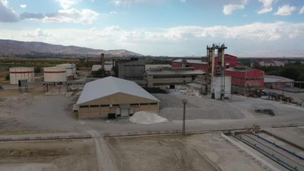 Şeker pancarı alım fiyatının yükselmesi çiftçileri sevindirdi