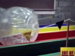 Even Stevens Season 1 Episode 13 - After Hours