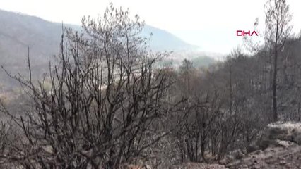 MARMARİS'TE DOĞA YENİDEN CANLANIYOR