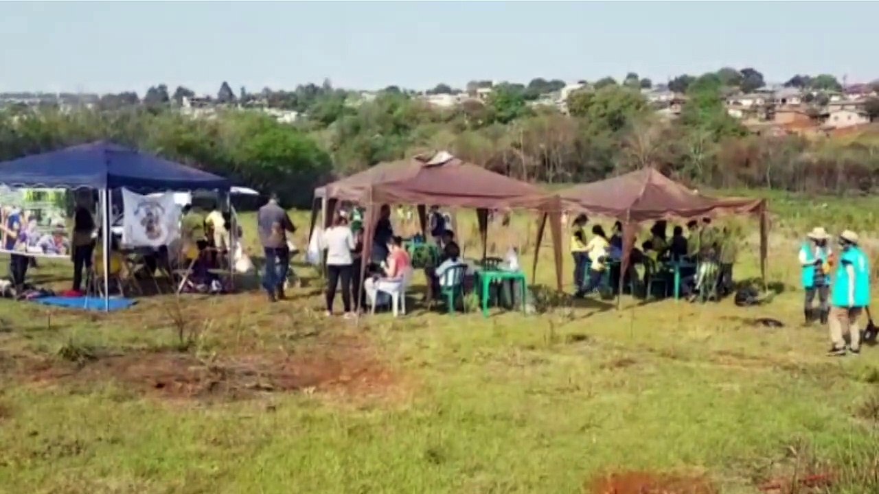 Dia da Árvore: Mais de três mil mudas de árvores são plantadas no Bairro Morumbi