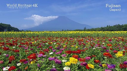 SONY DEMO 4K: The World Heritage Mt Fuji – Ngọn núi tuyệt đẹp của Nhật Bản
