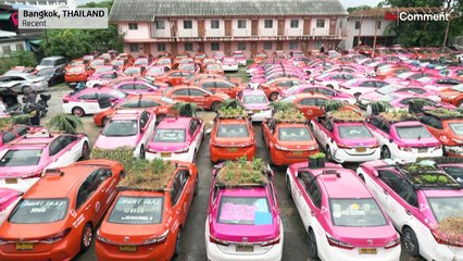 Kontak kapatan taksicilerden araba mezarlığı için yeşil fikir