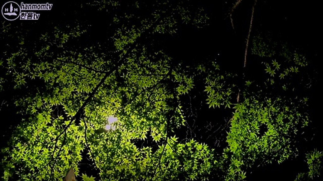 금방 잠잘오는 음악 불면증 치료 잠잘때 듣는 음악 Sleeping Music for deep sleeping Piano sleep wave 10 minutes