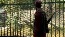 في حديقة حيوانات كابول أطفال يتنزهون وسط أسلحة طالبان