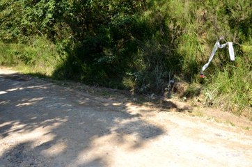 Ünye'de ormanlık alanda işlenen cinayetin zanlısı belli oldu