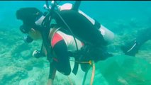 Un grupo de buzos limpia de basura los corales marinos del fondo del mar en Filipinas