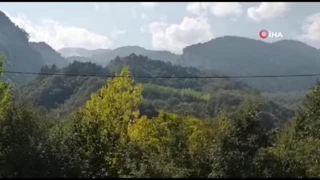 Son dakika haber... Bursa'da orman yangını büyümeden söndürüldü