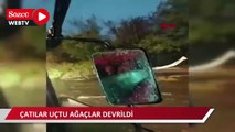 İstanbul'da fırtına dolu; çatılar uçtu ağaçlar devrildi 