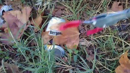 50 million volunteers in 180 countries take part in World Cleanup Day