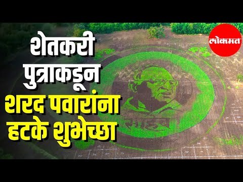 Sharad Pawar | 80th Birthday | शेतकरी पुत्राकडून शरद पवारांना हटके शुभेच्छा | Maharashtra News