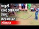 १० फुटी KING COBRAला रेस्क्यू करण्यात यश | 10 feet long king Cobra Rescued In Odisha | India News