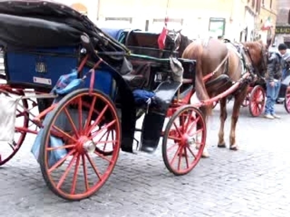 Chevaux