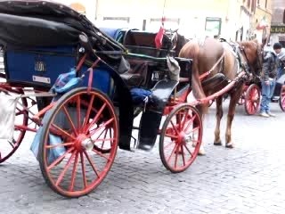 Chevaux