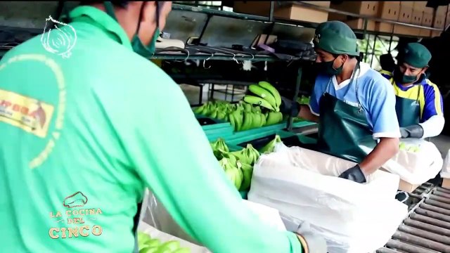 Tortillas de Plátano con Quesillo, Tacos de Pollo con Tortillas de Plátano, Banana Blondies