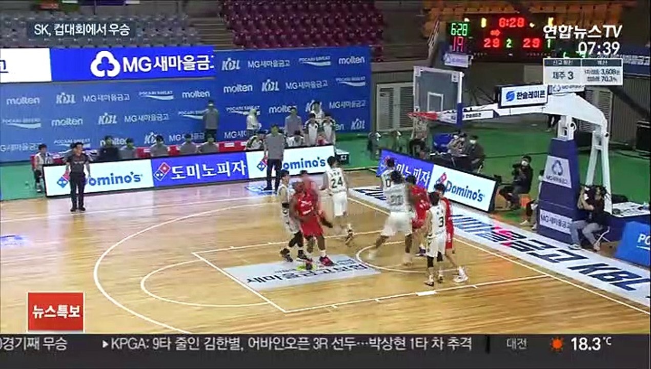 [프로농구] SK, DB 꺾고 컵대회 우승