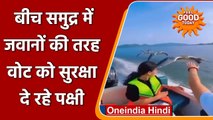 FEEL GOOD: Sea में Air Force के जवानों की तरह Boat को सुरक्षा दे रहे पक्षी, देखिए | वनइंडिया हिंदी