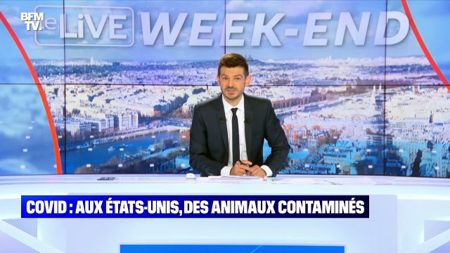 Covid : aux Etats-unis, des animaux contaminés - 19/09