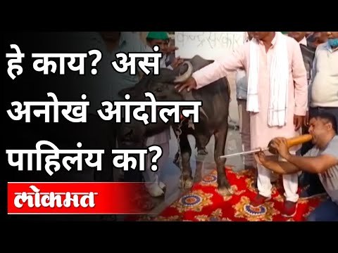 हे काय? असं अनोखं आंदोलन पाहिलंय का? Farmers Protest In Noida In Different Style | Bharat Bandh