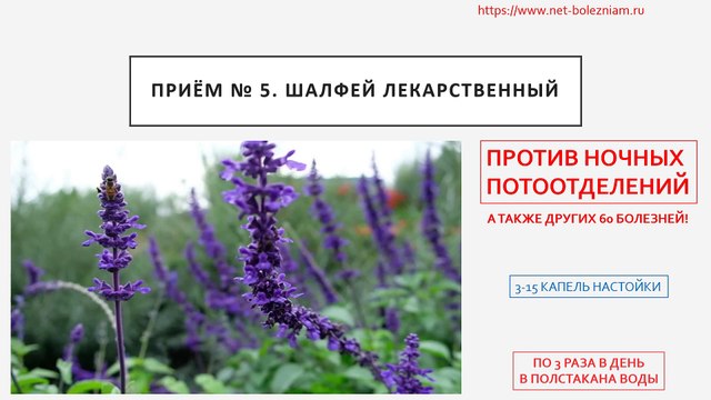 Как лечить климакс? (14 средств и методов, которые помогут устранить последствия менопаузы)
