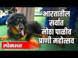 Pet Festival २०२० - भारतातील सर्वात मोठ्या पाळीव प्राणी महोत्सवाबद्दल ऐकलंय का? | Pet Show | Mumbai