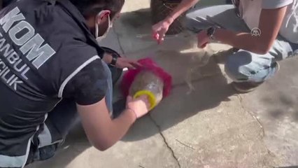 Zeytin bidonlarına gizlenmiş tarihi eser değeri taşıyan obje ve sikkeler ele geçirildi