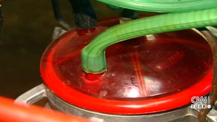 Kazein maddesinden peynir üretiyorlar!