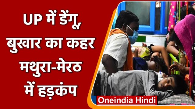 Uttar Pradesh Dengue: Mathura और Meerut में बढ़ा डेंगू और वायरल फीवर का कहर | वनइंडिया हिंदी