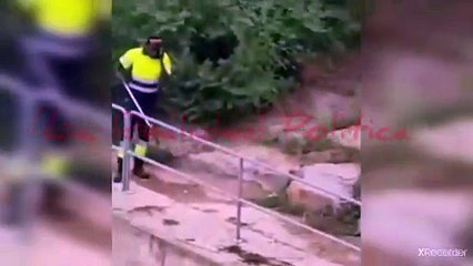 Hemeroteca: Así se integran algunos inmigrantes y luchan contra el cambio climático!!!