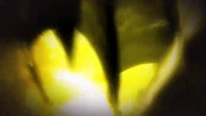 Merlin S01E07 The Gates Of Avalon