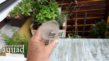 Régi dolgok 3 / Régi akvarisztikai dolgok bemutatása .