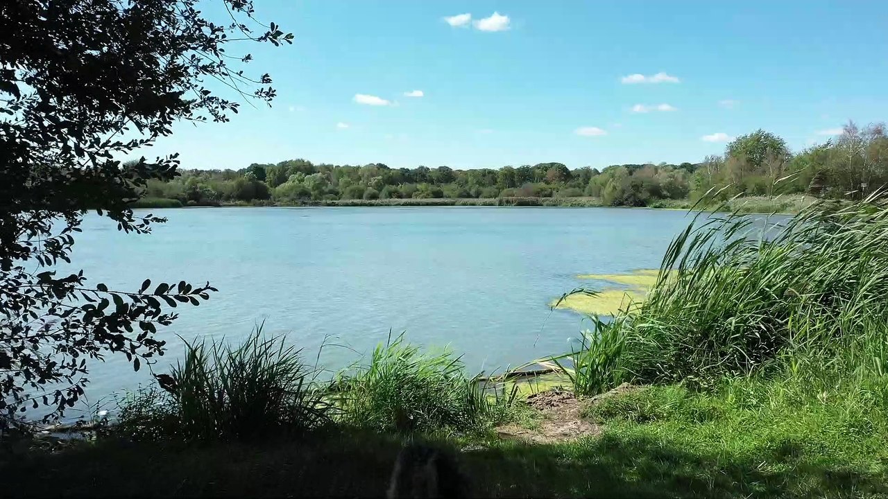étang des Noés Vidéo Dailymotion
