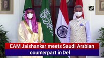EAM Jaishankar meets Saudi Arabian counterpart in Delhi