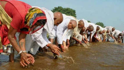 Pitru Paksha 2021: पितृ पक्ष 2021 के दिन क्या करें क्या ना करें | Boldsky