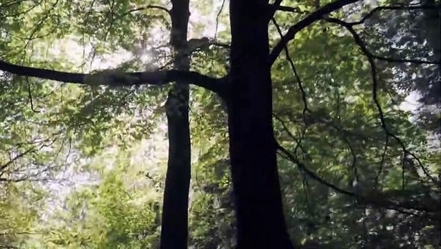 5 Minutes Piano Music- Instrumental Background Music Relaxing Piano Music (2)