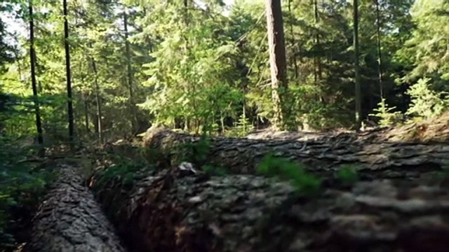 1 Minute Piano Music- Instrumental Background Music Relaxing Piano Music