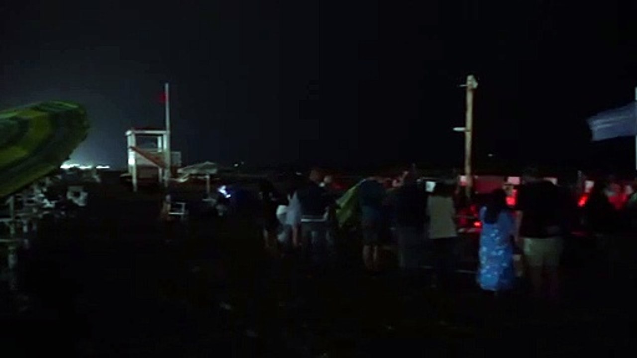 Italien: 82 Meeresschildkröten erblicken das Licht der Welt