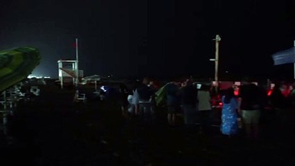 Italien: 82 Meeresschildkröten erblicken das Licht der Welt