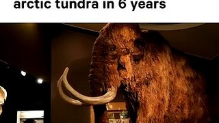 FIRM RAISES $15M TO BRING BACK WOOLY MAMMOTH FROM EXTINCTION