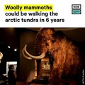 FIRM RAISES $15M TO BRING BACK WOOLY MAMMOTH FROM EXTINCTION