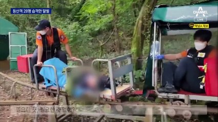 전국 하루 평균 80건 벌쏘임 신고…화장품 자제해야